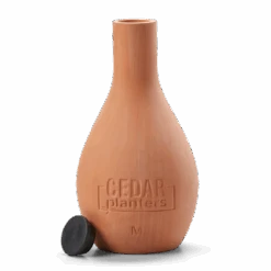 Self-Watering Clay Olla Pot – Slow-Release Irrigation System 21 Self-Watering Clay Olla Pot – Slow-Release Irrigation System -Eds Plant Shop self watering clay olla pot slow release irrigation system 712564