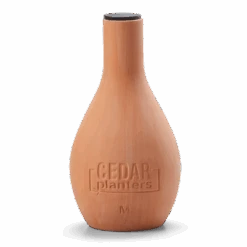 Self-Watering Clay Olla Pot – Slow-Release Irrigation System 23 Self-Watering Clay Olla Pot – Slow-Release Irrigation System -Eds Plant Shop self watering clay olla pot slow release irrigation system 924646