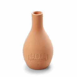 Self-Watering Clay Olla Pot – Slow-Release Irrigation System 20 Self-Watering Clay Olla Pot – Slow-Release Irrigation System -Eds Plant Shop self watering clay olla pot slow release irrigation system 969109