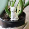 Self Watering Device - Cat -Eds Plant Shop self watering device cat 998044