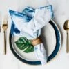 Shibori & Classic Tie Dye Kit – DIY Indigo Dyeing Kit With Napkins + Tote