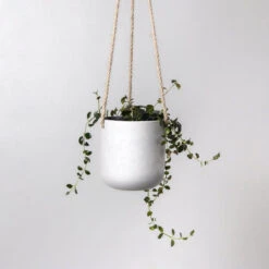Signature Stone Hanging Planter Pot 4.75 Inch -Eds Plant Shop signature stone hanging planter pot 475 inch 752193