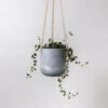 Signature Stone Hanging Planter Pot 4.75 Inch