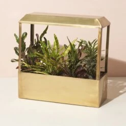 Smart LED Growhouse| Countertop Grow Light With Planter -Eds Plant Shop smart led growhouse countertop grow light with planter 249870