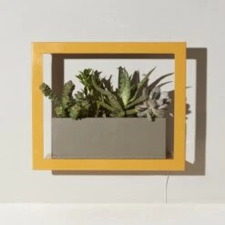 Smart Standard Growframe (Online Only) | Wall-Mountable LED Grow Light Frame -Eds Plant Shop smart standard growframe online only wall mountable led grow light frame 427636