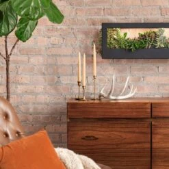 Smart Standard Growframe | Wall-Mountable LED Grow Light Frame 12 Smart Standard Growframe | Wall-Mountable LED Grow Light Frame -Eds Plant Shop smart standard growframe online only wall mountable led grow light frame 869714