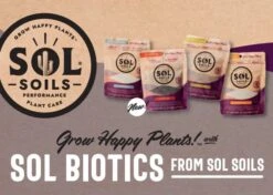 Sol Biotics Bundle Pack – Complete Plant Wellness Kit For Thriving Plants -Eds Plant Shop sol biotics bundle pack complete plant wellness kit for thriving plants 1464578