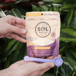 Sol Biotics Mycorrhizae Myco – Probiotic Root Support -Eds Plant Shop sol biotics mycorrhizae monthly myco probiotic support for plant roots 536635