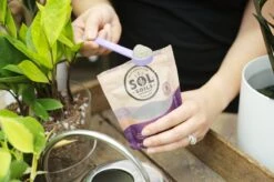 Sol Biotics Mycorrhizae Myco – Probiotic Root Support -Eds Plant Shop sol biotics mycorrhizae monthly myco probiotic support for plant roots 569042