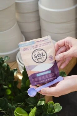 Sol Biotics – Repot Recovery: Probiotic Transplant Shock Relief -Eds Plant Shop sol biotics repot recovery 815629
