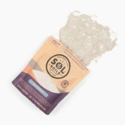 Sol Biotics – Repot Recovery: Probiotic Transplant Shock Relief