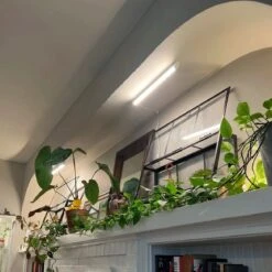 Soltech Solutions- Grove LED Grow Light Bundle -Eds Plant Shop soltech solutions grove led grow light bundle 723711