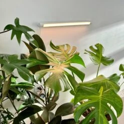 Soltech Solutions- Grove LED Grow Light Bundle -Eds Plant Shop soltech solutions grove led grow light bundle 819523