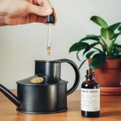 Specialized Cactus Fertilizer - Tailored Nutrient Solution For Cacti And Succulents -Eds Plant Shop specialized cactus fertilizer tailored nutrient solution for cacti and succulents 897290