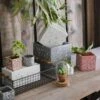 Speckled Cement Planter In Various Shape, Colors, And Sizes -Eds Plant Shop speckled cement planter in various shape colors and sizes 845081