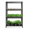 Spider Farmer 3 Tier Metal Plant Stand With Trays -Eds Plant Shop spider farmer 3 tier metal plant stand with trays 713295