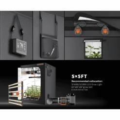 Spider Farmer 5' X 5' X 6' 8" Indoor Grow Tent | Pro-Grade & Sturdy -Eds Plant Shop spider farmer 5 x 5 x 6 8 indoor grow tent pro grade sturdy 347935