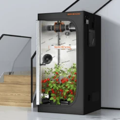 Spider Farmer 6" Clip-On Fan For Indoor Plants 20 Spider Farmer 6" Clip-On Fan For Indoor Plants -Eds Plant Shop spider farmer 6 clip on fan for indoor plants 107251