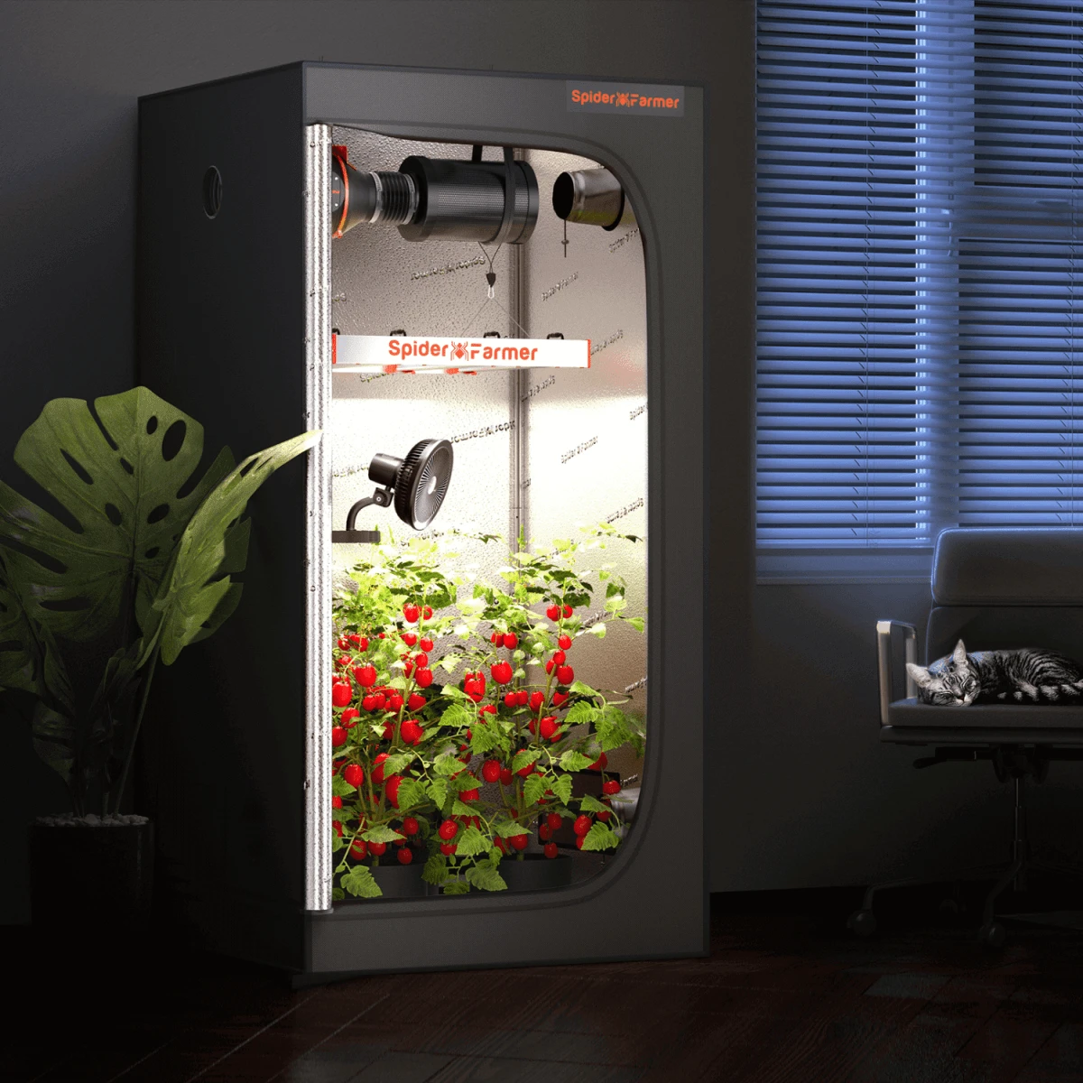 Spider Farmer 6" Clip-On Fan For Indoor Plants 10 Spider Farmer 6" Clip-On Fan For Indoor Plants - Image 8