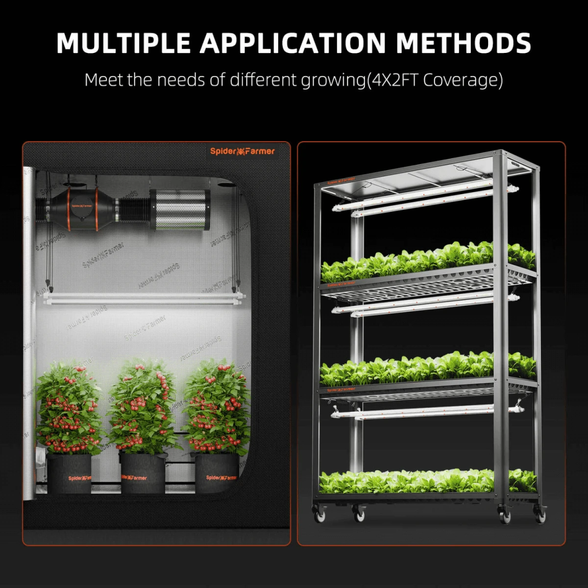 Spider Farmer Glow80 80W Full Spectrum LED Grow Light | Sunlike Spectrum For All Growth Cycles 8 Spider Farmer Glow80 80W Full Spectrum LED Grow Light | Sunlike Spectrum For All Growth Cycles - Image 6