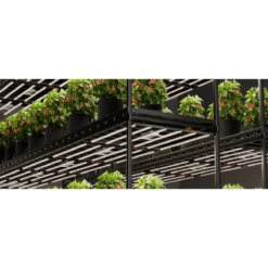 Spider Farmer SE7000 730W Dimmable Full Spectrum LED Grow Light 26 Spider Farmer SE7000 730W Dimmable Full Spectrum LED Grow Light -Eds Plant Shop spider farmer se7000 730w dimmable full spectrum led grow light 264496