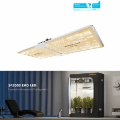 Spider Farmer SF2000 200W Dimmable Full Spectrum LED Grow Light 27 Spider Farmer SF2000 200W Dimmable Full Spectrum LED Grow Light -Eds Plant Shop spider farmer sf2000 200w dimmable full spectrum led grow light 599602