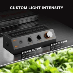 Spider Farmer SF2000 LED Grow Light + 2' X 4' Grow Tent + Inline Fan Combo With Speed Controller -Eds Plant Shop spider farmer sf2000 led grow light 2 x 4 grow tent inline fan combo with speed controller 792257