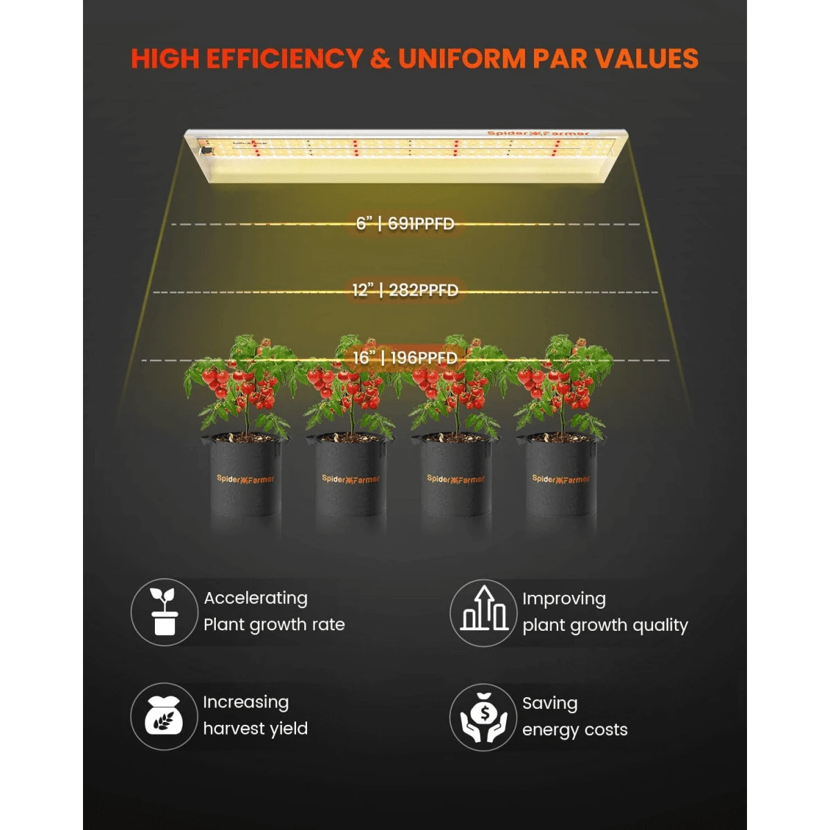 Spider Farmer SF300 33W LED Veg Grow Light 6 Spider Farmer SF300 33W LED Veg Grow Light - Image 4