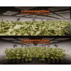 Spider Farmer SF4000 450W Dimmable Full Spectrum LED Grow Light -Eds Plant Shop spider farmer sf4000 450w dimmable full spectrum led grow light 301321