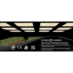 Spider Farmer SF7000 650W Full Spectrum LED Grow Light – Advanced Energy Efficiency For Professional Results 33 Spider Farmer SF7000 650W Full Spectrum LED Grow Light – Advanced Energy Efficiency For Professional Results -Eds Plant Shop spider farmer sf7000 650w full spectrum led grow light advanced energy efficiency for professional results 587541