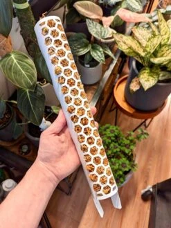 Stackable Plant Support Pole - Clear 16 Stackable Plant Support Pole - Clear -Eds Plant Shop stackable plant support pole clear 216777