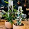 Stackable Plant Support Pole - White -Eds Plant Shop stackable plant support pole white 336480