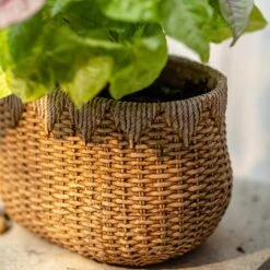 Straw Basket Cement Planter - Various Sizes -Eds Plant Shop straw basket cement planter various sizes 731746
