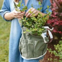 Stylish Garden Tote Bag With Pockets – Durable, Mesh Bottom 10 Stylish Garden Tote Bag With Pockets – Durable, Mesh Bottom -Eds Plant Shop stylish garden tote bag with pockets durable mesh bottom 267035