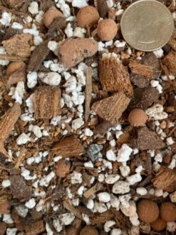 Succulent Gritty Mix – Sustainable Soil For Succulents & Dry-Weather Plants -Eds Plant Shop succulent gritty mix sustainable soil for succulents dry weather plants 132610