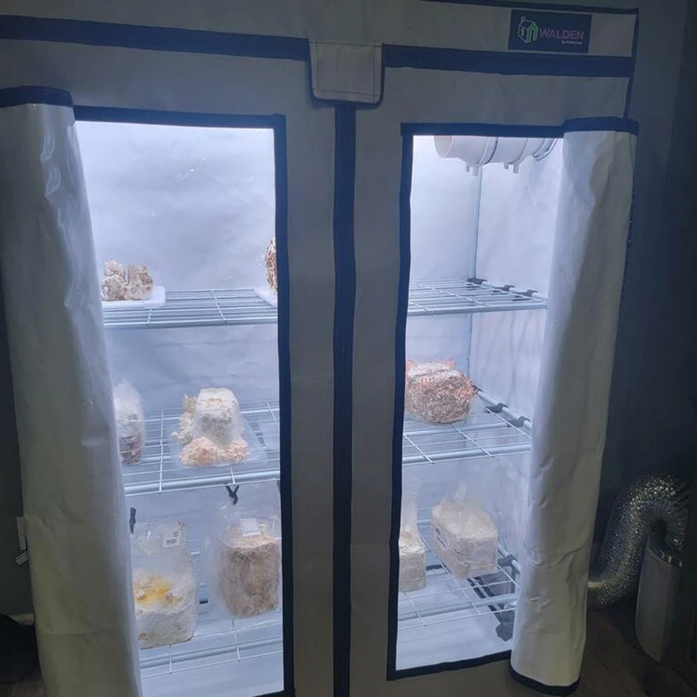 T5 HO Ballast Bypass 4FT LED Mushroom Grow Lamp (54W Eqv.) – Blue Sun Spectrum 9 T5 HO Ballast Bypass 4FT LED Mushroom Grow Lamp (54W Eqv.) – Blue Sun Spectrum - Image 7