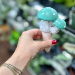 Terra Cotta Mushroom Self-Watering Spikes -Eds Plant Shop terra cotta mushroom self watering spikes 552300
