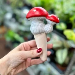 Terra Cotta Mushroom Self-Watering Spikes -Eds Plant Shop terra cotta mushroom self watering spikes 616421