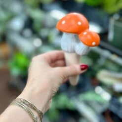 Terra Cotta Mushroom Self-Watering Spikes -Eds Plant Shop terra cotta mushroom self watering spikes 816957