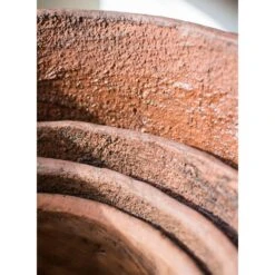Terracotta & Concrete Planter Pot 23 Terracotta & Concrete Planter Pot -Eds Plant Shop terracotta concrete planter pot 289561