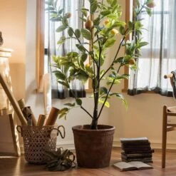 Terracotta & Concrete Planter Pot 17 Terracotta & Concrete Planter Pot -Eds Plant Shop terracotta concrete planter pot 845791