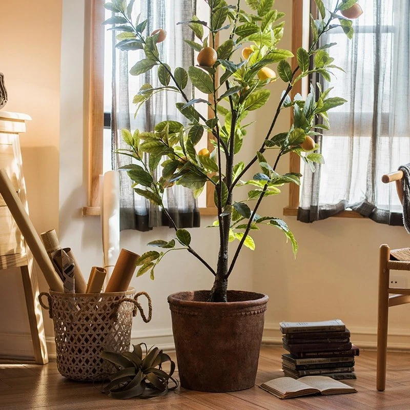 Terracotta & Concrete Planter Pot 6 Terracotta & Concrete Planter Pot - Image 4