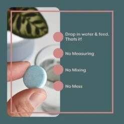 Thrive Bundle (Online Only) (Plant Food + Probiotics) For HOUSEPLANTS 10 Thrive Bundle (Online Only) (Plant Food + Probiotics) For HOUSEPLANTS -Eds Plant Shop thrive bundle online only plant food probiotics for houseplants 743738