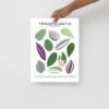 Tradescantia Species ID Chart - Botanical Houseplant Art Print -Eds Plant Shop tradescantia species id chart botanical houseplant art print 693372
