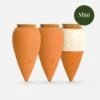 Trio Mini Ollas - The Iconics | Self-Watering Terracotta Plant Irrigators -Eds Plant Shop trio mini ollas the iconics self watering terracotta plant irrigators 485741