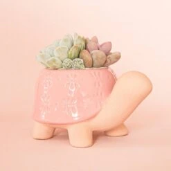 Turtle Ceramic Planter -Eds Plant Shop turtle ceramic planter 830467