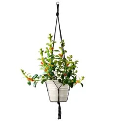 Universal Black Macramé Plant Hanger – Economical, Fits Most Pots