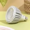 Vita™ LED Grow Light Bulb- Dimmable -Eds Plant Shop vita led grow light bulb dimmable 193238