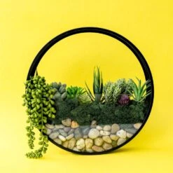 Wall Terrarium Kit | DIY Wall Art With Faux Succulents -Eds Plant Shop wall terrarium kit diy wall art with faux succulents 381133