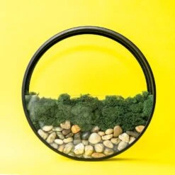 Wall Terrarium Kit | DIY Wall Art With Faux Succulents -Eds Plant Shop wall terrarium kit diy wall art with faux succulents 551105